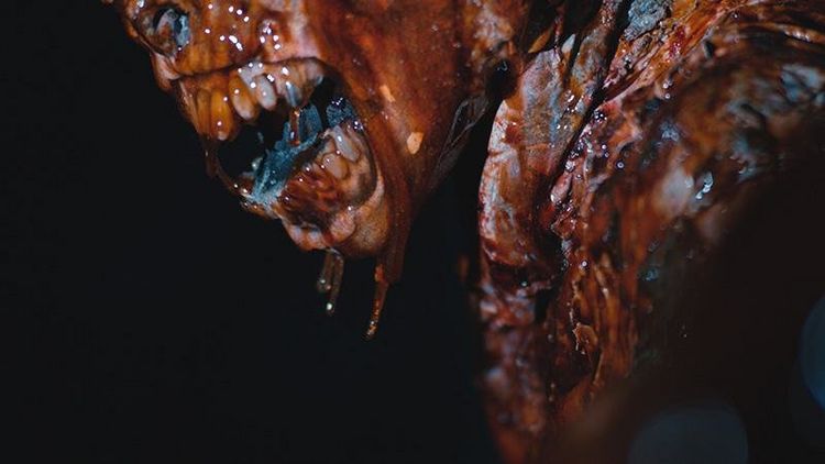 Produktbild: Death House