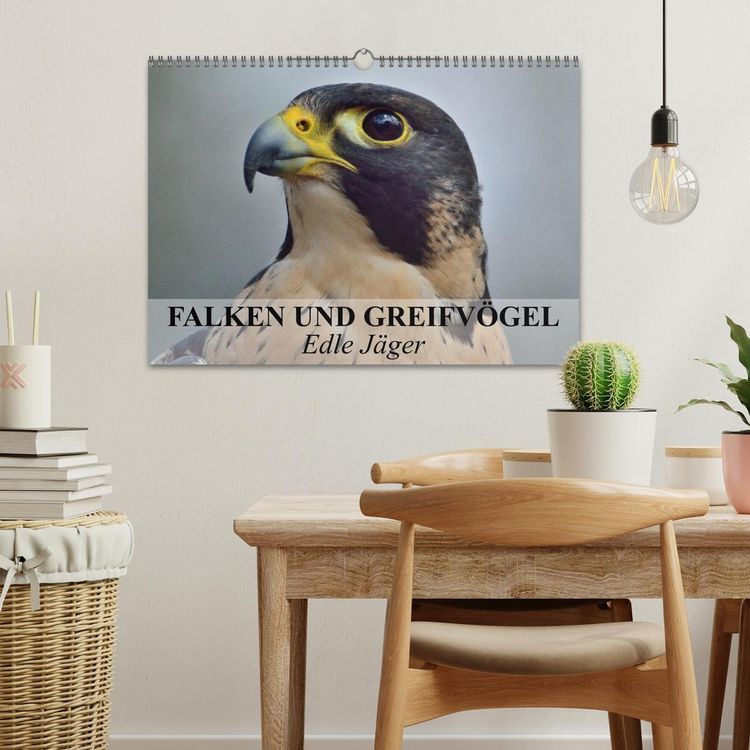Produktbild: Falken und Greifv&ouml;gel. Edle J&auml;ger (Wandkalender 2026 DIN A3 quer), CALVENDO Monatskalender