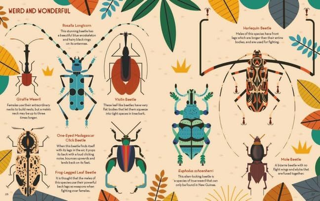 Produktbild: Bonkers About Beetles