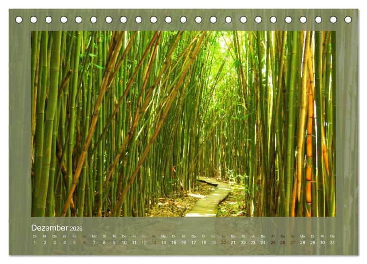 Produktbild: Bambus (Tischkalender 2026 DIN A5 quer), CALVENDO Monatskalender