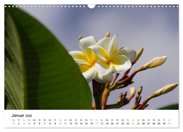 Produktbild: La R&eacute;union - Auf der Insel der Gef&uuml;hle (Wandkalender 2026 DIN A3 quer), CALVENDO Monatskalender