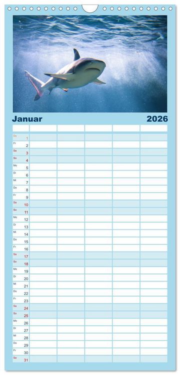 Produktbild: Familienplaner 2026 - Haie - K&ouml;nige der Meere. mit 5 Spalten (Wandkalender, 21 x 45 cm) CALVENDO