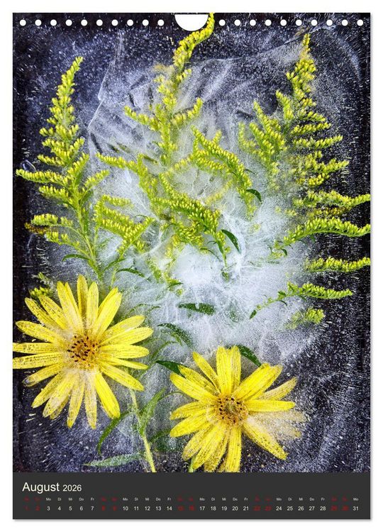 Produktbild: Magische Eisblumen (Wandkalender 2026 DIN A4 hoch), CALVENDO Monatskalender