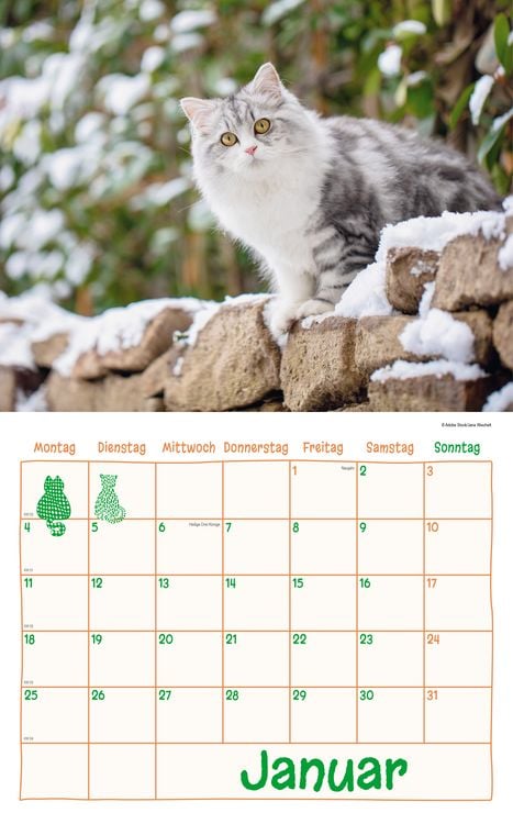 Produktbild: Katzen Kalenderpaket 2027