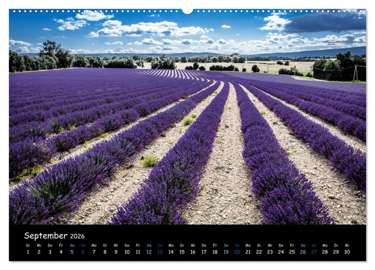 Produktbild: Provence - Lavendelbl&uuml;te (hochwertiger Premium Wandkalender 2026 DIN A2 quer), Kunstdruck in Hochglanz