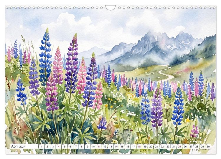 Produktbild: Bl&uuml;tenzauber des Sommers (Wandkalender 2027 DIN A3 quer), CALVENDO Monatskalender