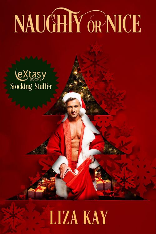 Produktbild: Naughty or Nice