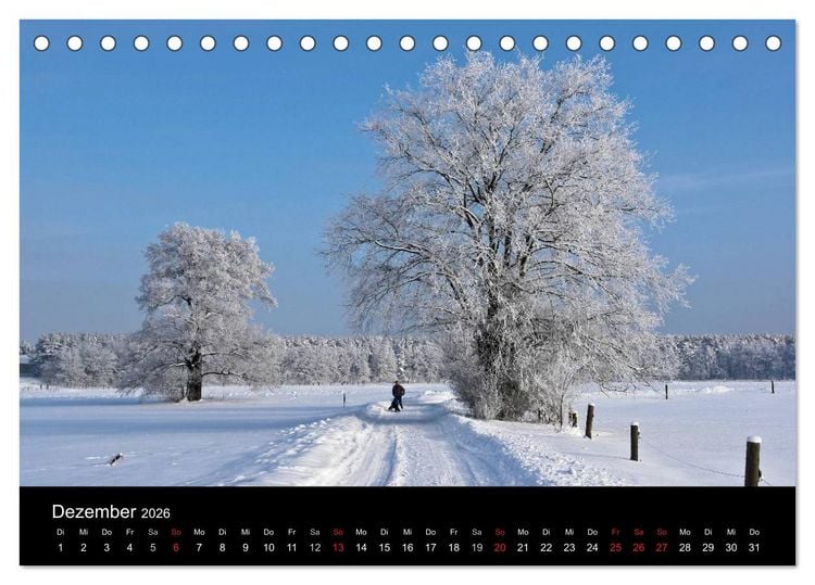 Produktbild: Baum-Variationen (Tischkalender 2026 DIN A5 quer), CALVENDO Monatskalender