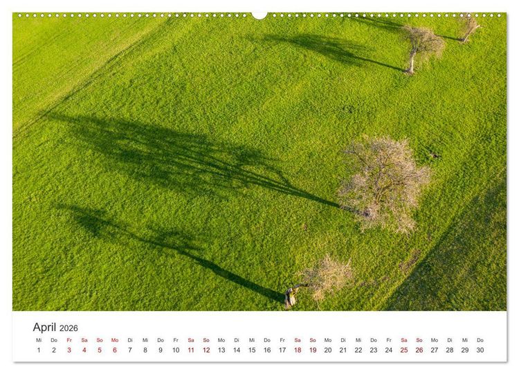Produktbild: B&auml;ume - Gelebtes Leben (hochwertiger Premium Wandkalender 2026 DIN A2 quer), Kunstdruck in Hochglanz