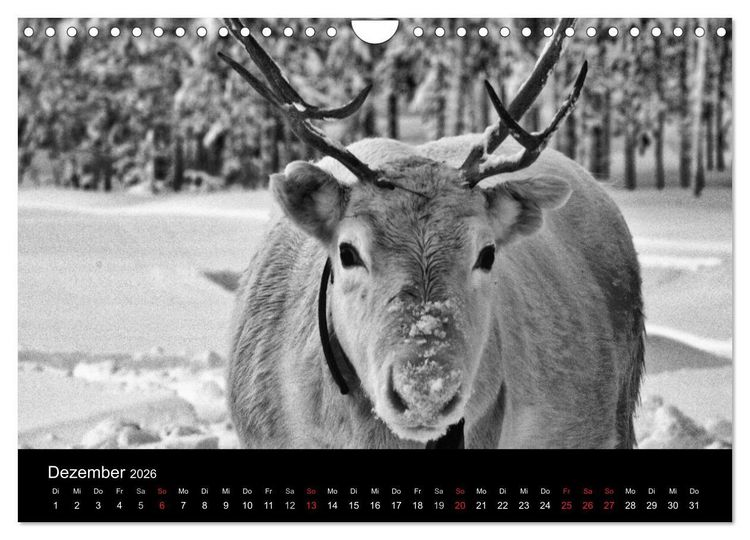 Produktbild: Wundersch&ouml;nes Finnland (Wandkalender 2026 DIN A4 quer), CALVENDO Monatskalender