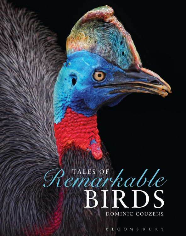 Produktbild: Tales of Remarkable Birds