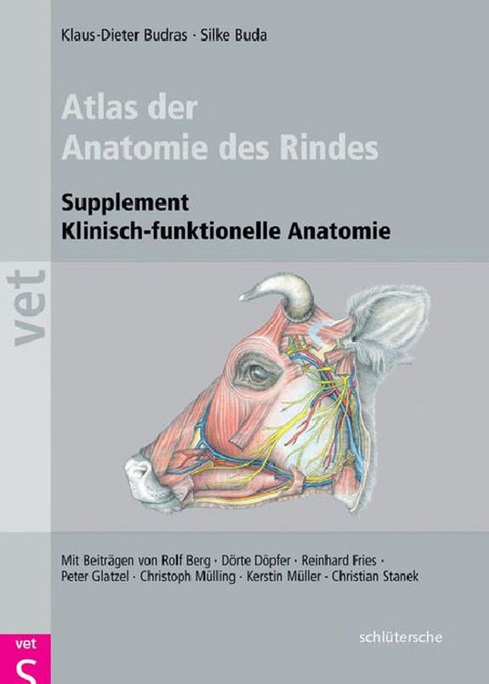 Produktbild: Atlas der Anatomie des Rindes