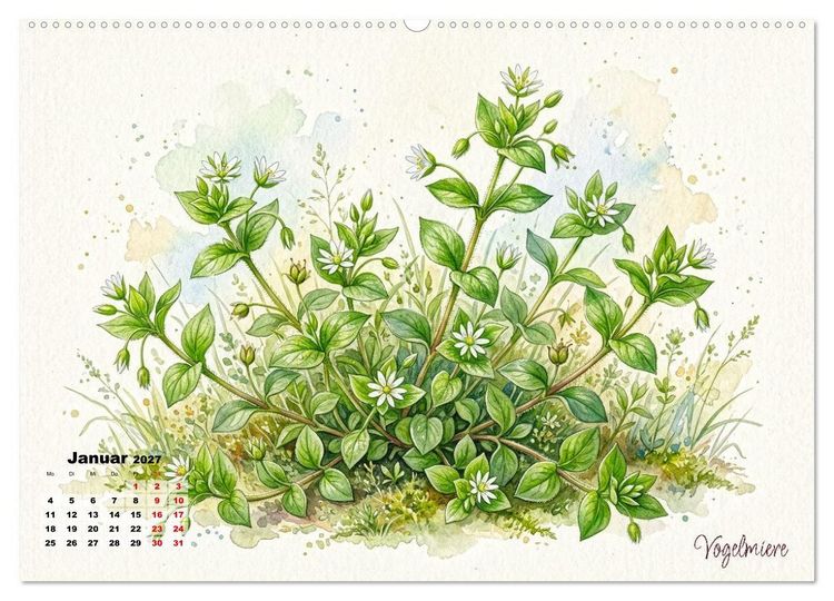 Produktbild: Wilde Kostbarkeiten &ndash; Essbar, gesund & wundersch&ouml;n (hochwertiger Premium Wandkalender 2027 DIN A2 quer), Kunstdruck in Hochglanz