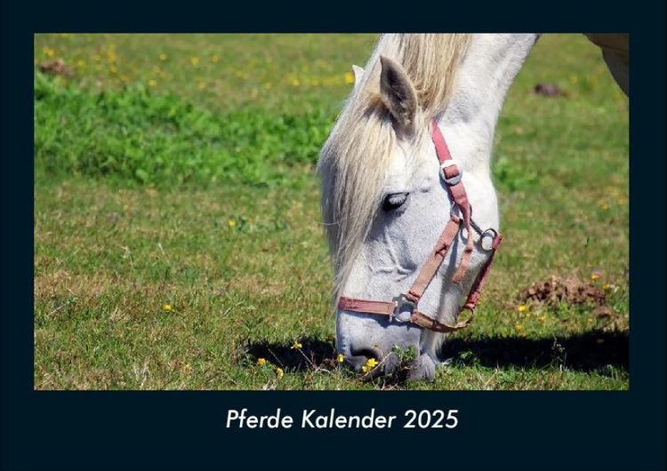 Produktbild: Pferde Kalender 2025 Fotokalender DIN A4