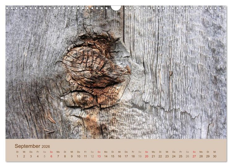 Produktbild: Farben des Holzes (Wandkalender 2026 DIN A3 quer), CALVENDO Monatskalender