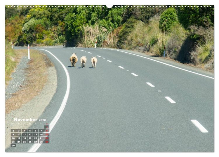 Produktbild: Traumland Neuseeland (hochwertiger Premium Wandkalender 2026 DIN A2 quer), Kunstdruck in Hochglanz