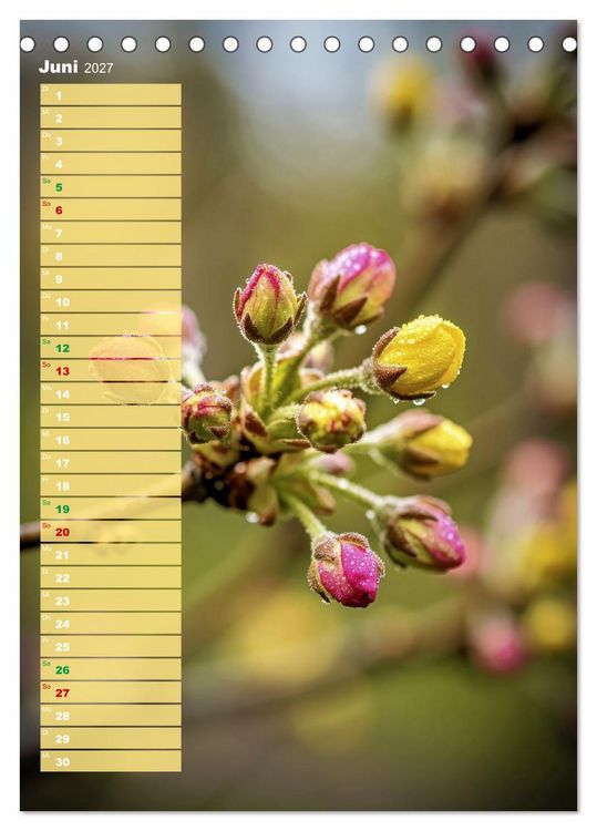 Produktbild: Bunte Farben der Natur (Tischkalender 2027 DIN A5 hoch), CALVENDO Monatskalender