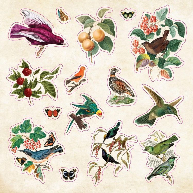 Produktbild: The Sticker Book of Curiosities (Over 750 Stickers)