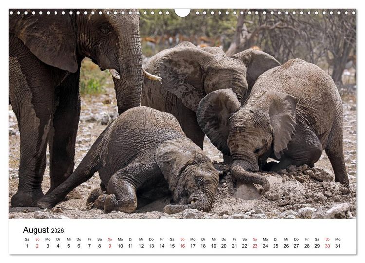 Produktbild: Namibias Elefanten (Wandkalender 2026 DIN A3 quer), CALVENDO Monatskalender