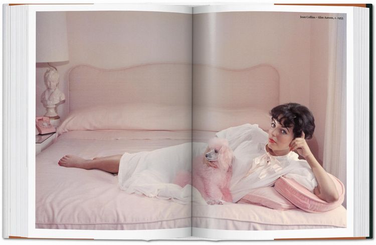 Produktbild: The Dog in Photography 1839&ndash;Today