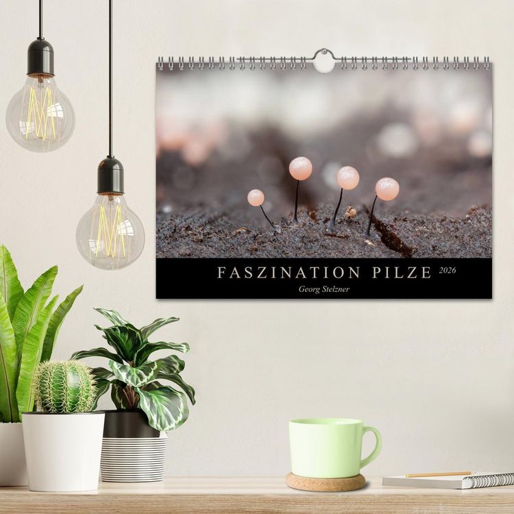 Produktbild: FASZINATION PILZE 2026 (Wandkalender 2026 DIN A4 quer), CALVENDO Monatskalender