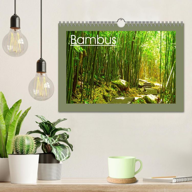 Produktbild: Bambus (Wandkalender 2026 DIN A4 quer), CALVENDO Monatskalender