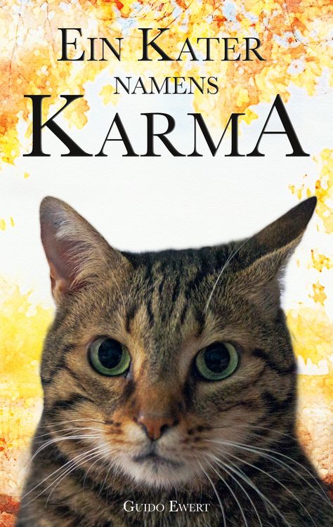 Produktbild: Ein Kater namens Karma