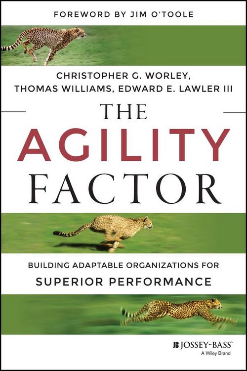 Produktbild: The Agility Factor