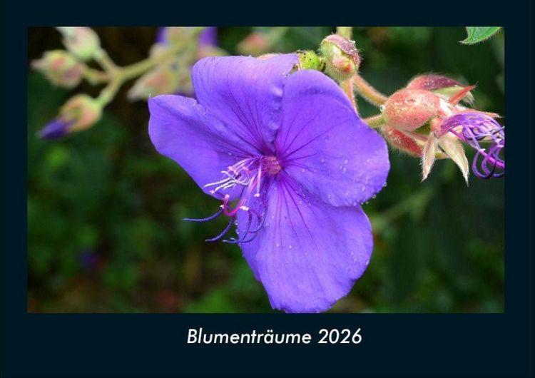 Produktbild: Blumentr&auml;ume 2026 Fotokalender DIN A4
