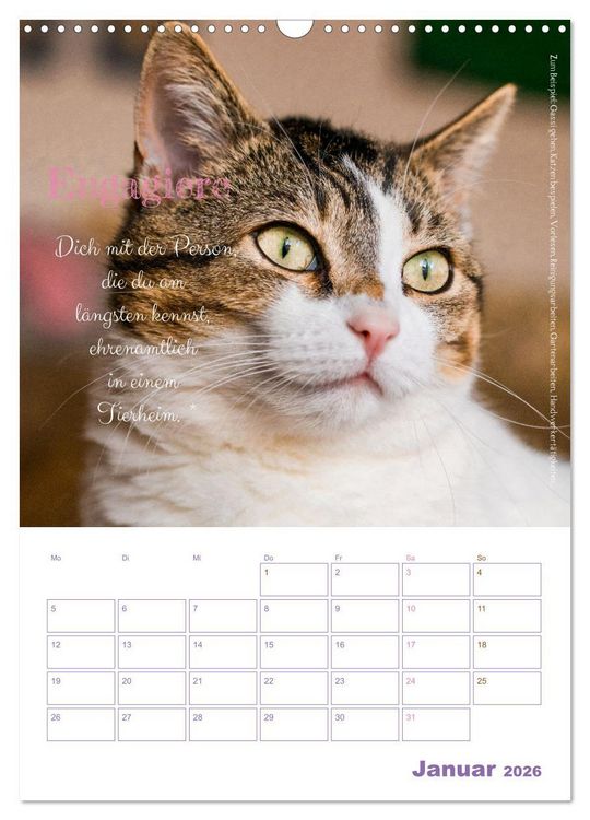 Produktbild: Tierische Challenges: F&uuml;r mehr Bewusstsein und mehr Tierschutz (Wandkalender 2026 DIN A3 hoch), CALVENDO Monatskalender