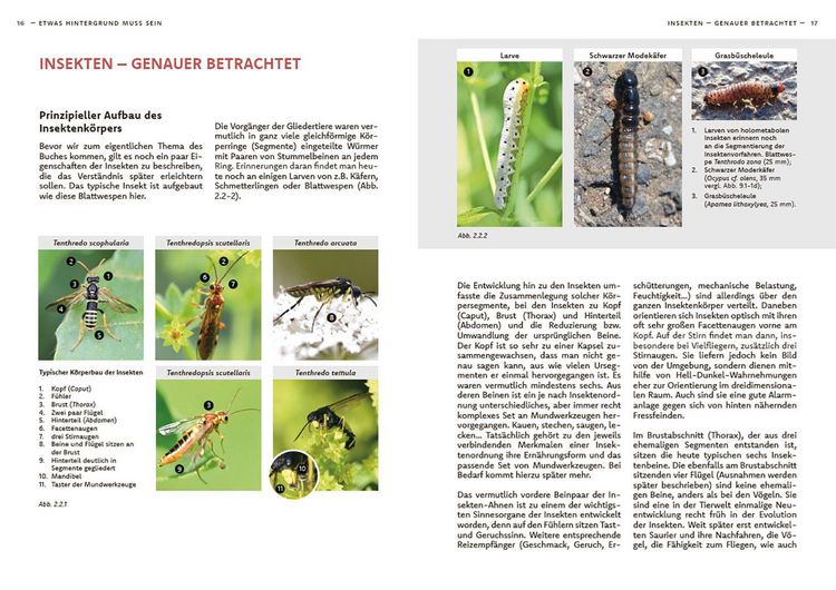 Produktbild: Wildbienen haben es auch nicht leicht