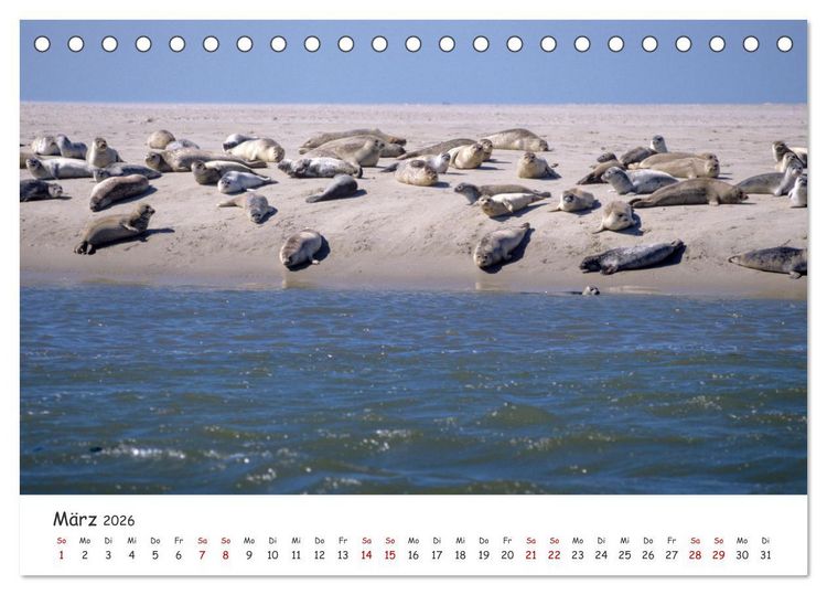Produktbild: Nordsee, Meer, Strand und Wind (Tischkalender 2026 DIN A5 quer), CALVENDO Monatskalender