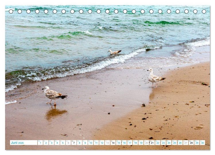 Produktbild: Warnem&uuml;nde - Sommer, Sonne und Sand im Schuh (Tischkalender 2026 DIN A5 quer), CALVENDO Monatskalender