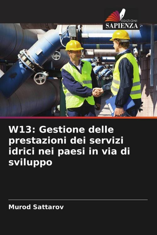 Produktbild: W13: Gestione delle prestazioni dei servizi idrici nei paesi in via di sviluppo