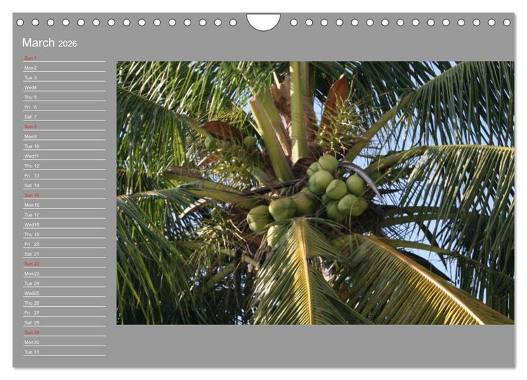 Produktbild: Philippines Colorful Life (Wall Calendar 2026 DIN A4 landscape), CALVENDO 12 Month Wall Calendar