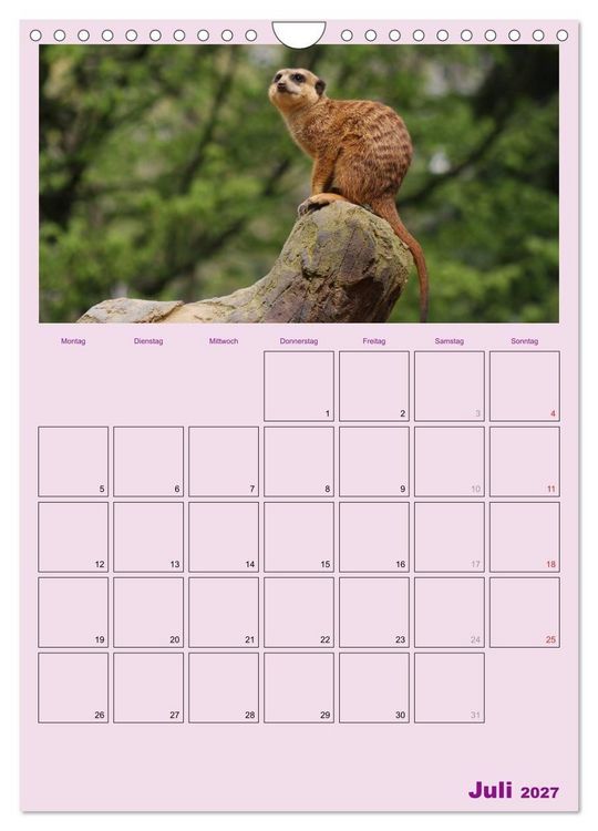 Produktbild: Erdm&auml;nnchen / Terminplaner (Wandkalender 2027 DIN A4 hoch), CALVENDO Monatskalender