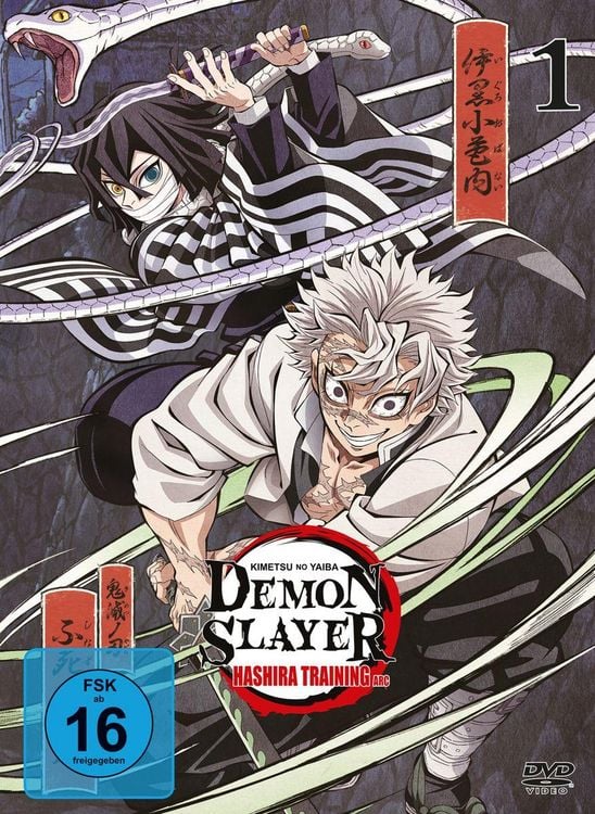 Produktbild: Demon Slayer: Kimetsu no Yaiba Hashira Training Arc - Vol.1