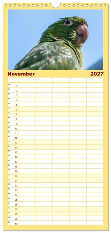 Produktbild: Familienplaner 2027 - Aras und bunte Sittiche: Exotische Papageien-Portr&auml;ts mit 5 Spalten (Wandkalender, 21 x 45 cm) CALVENDO