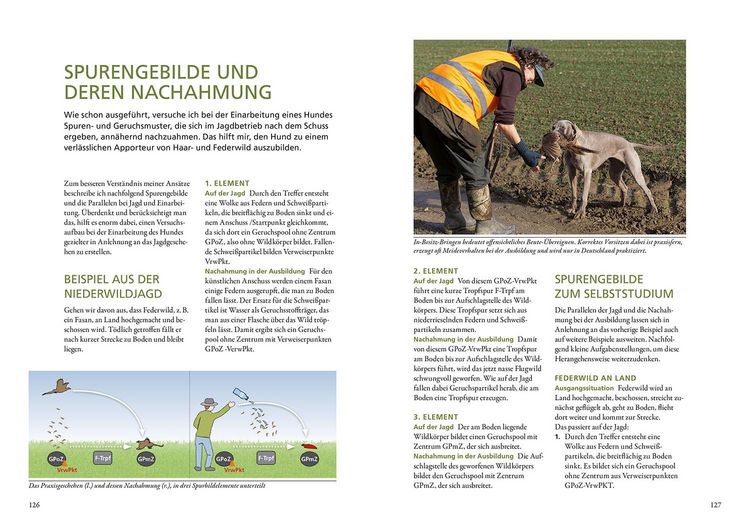 Produktbild: Die Ausbildung des Jagdhundes