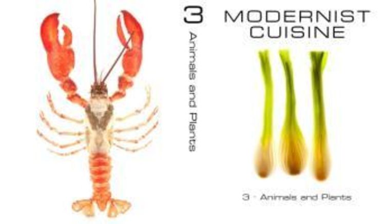 Modernist Cuisine. Die Revolution der Kochkunst