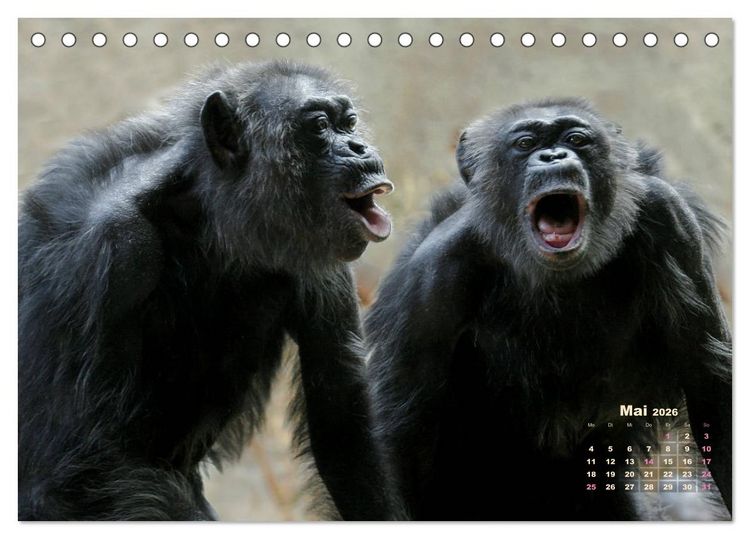 Produktbild: WILDE TIERE IN AKTION (Tischkalender 2026 DIN A5 quer), CALVENDO Monatskalender