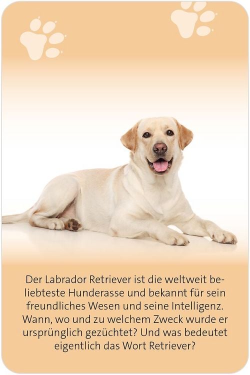 Produktbild: Das gro&szlig;e Hunde Quiz