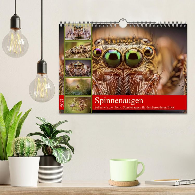 Produktbild: Spinnenaugen (Wandkalender 2027 DIN A4 quer), CALVENDO Monatskalender