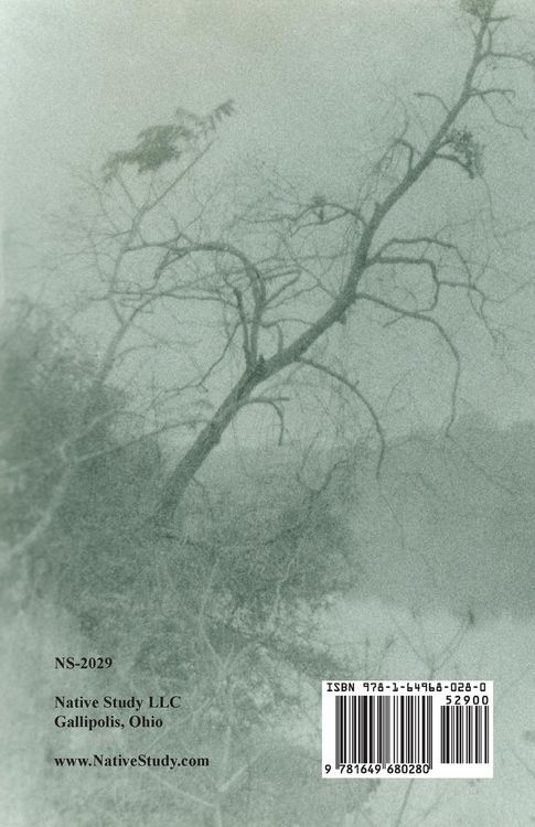 Produktbild: Indian Wills, 1911-1921 Book Three