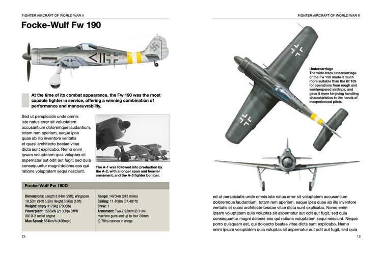 Produktbild: Fighter Aircraft of World War II