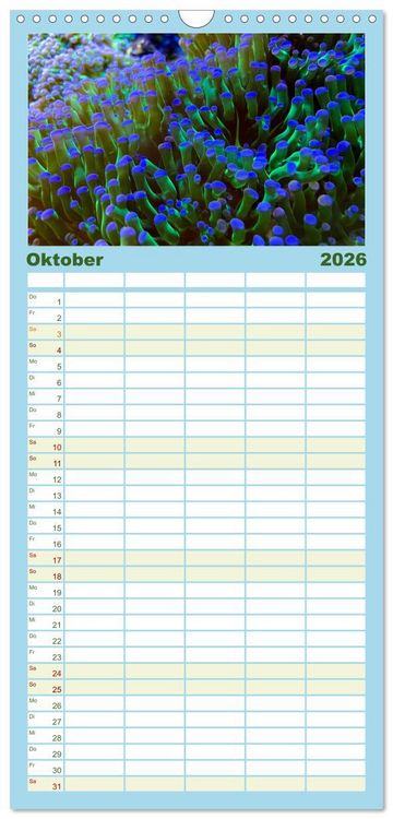Produktbild: Familienplaner 2026 - Tiefsee - Ein Abenteuer ins Unbekannte. mit 5 Spalten (Wandkalender, 21 x 45 cm) CALVENDO