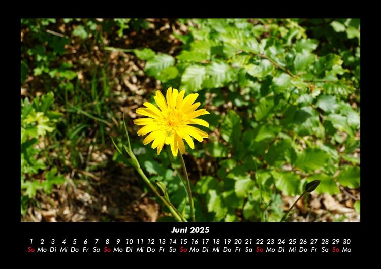 Produktbild: Naturlandschaften 2025 Fotokalender DIN A3