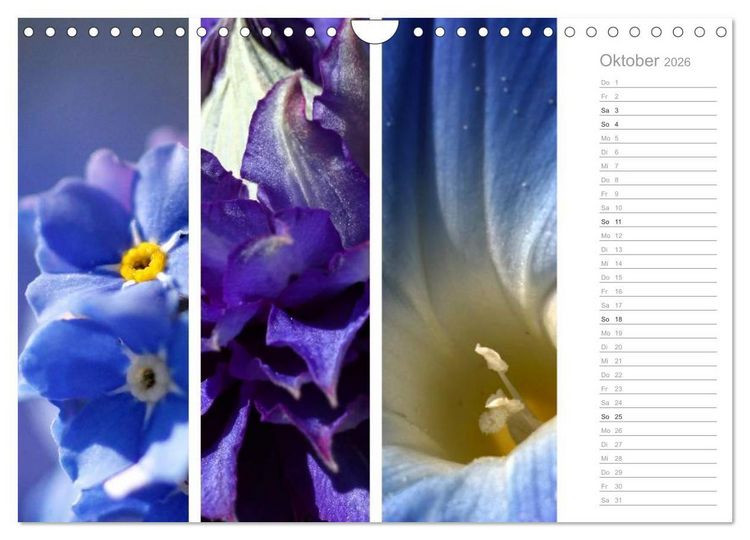Produktbild: Nat&uuml;rlicher Dreiklang (Wandkalender 2026 DIN A4 quer), CALVENDO Monatskalender