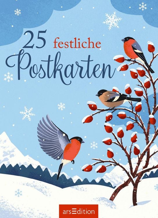 Produktbild: 25 festliche Postkarten