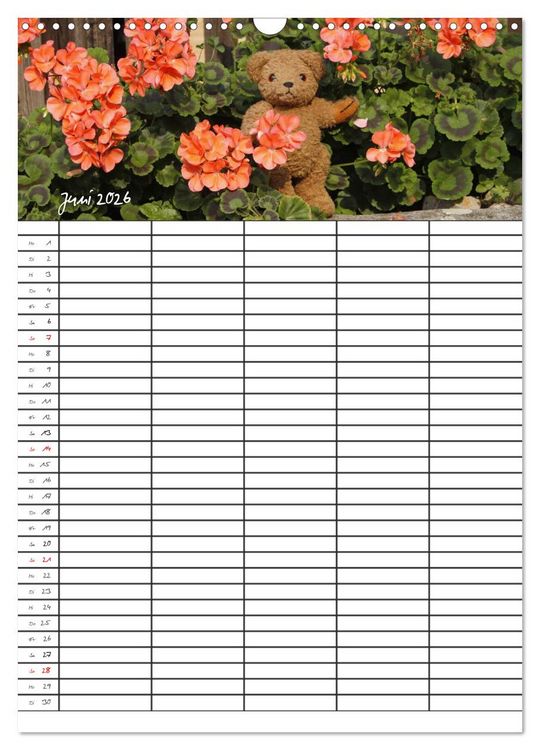 Produktbild: Der Teddyb&auml;ren-Familienplaner (Wandkalender 2026 DIN A3 hoch), CALVENDO Monatskalender
